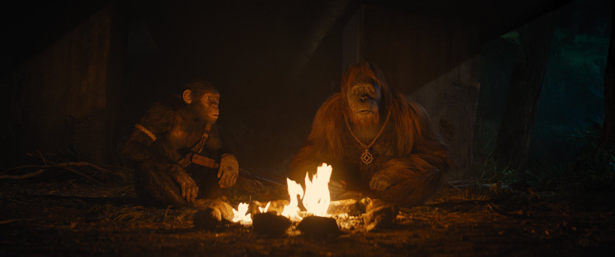Imagem do filme O Reino do Planeta dos Macacos