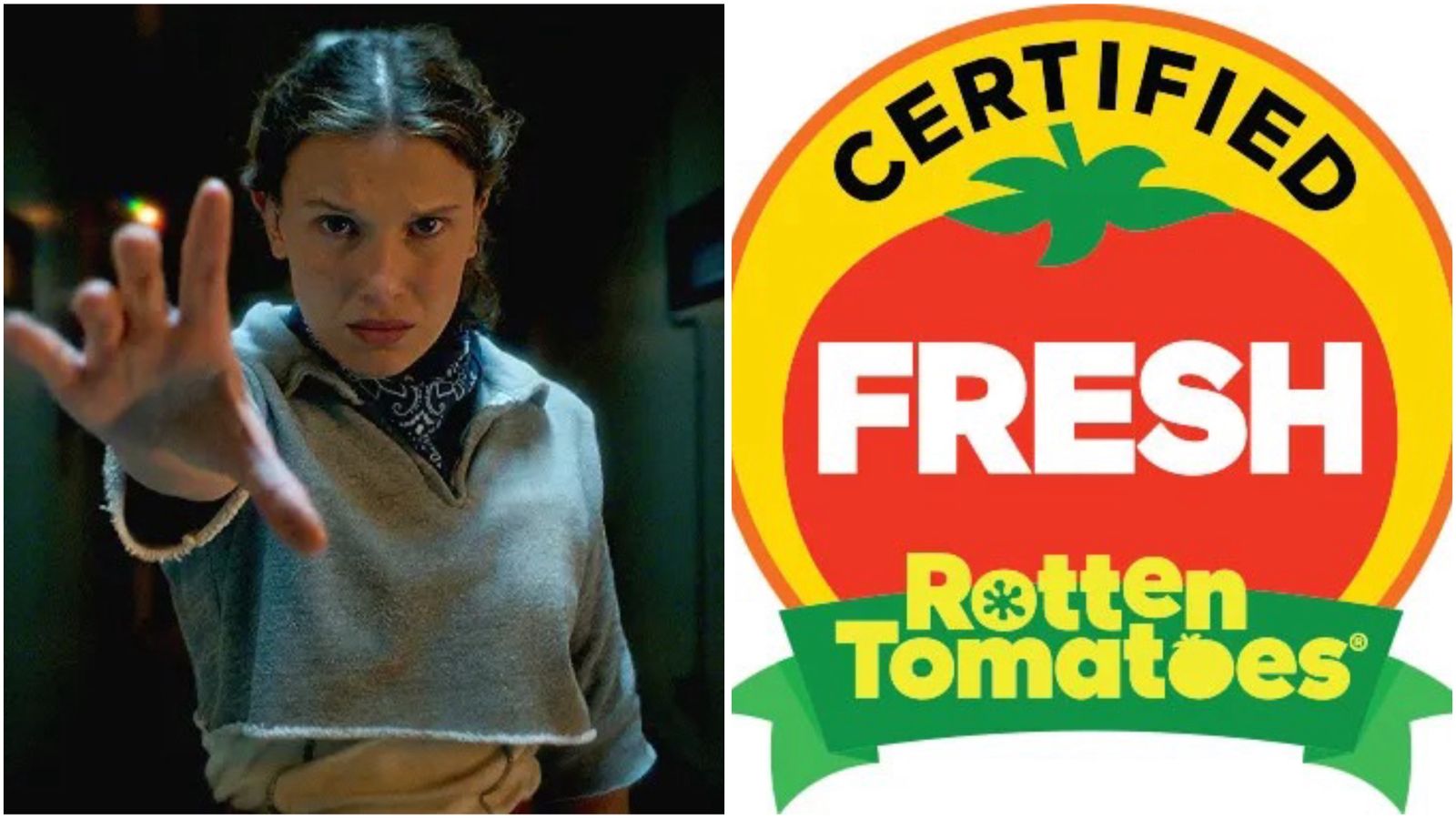 stranger Things - Rotten Tomatoes